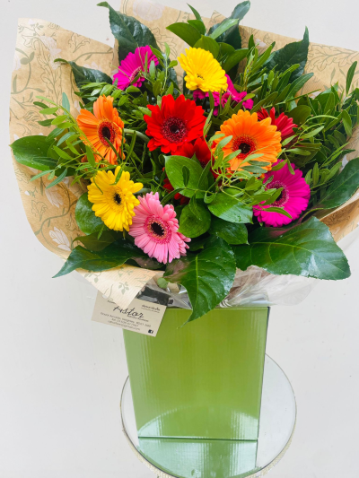 Splash of Colour - A vibrant gerbera posy hand-tied featuring a mix of colours carefully selected by the local florist. Hand-delivered in a gift bag or box.